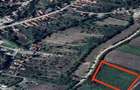 Teren intravilan, 5800 mp, se poate parcela, in Sandulesti - 2