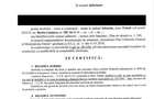 Teren intre case cu utilitati la 2 pasi de Bratul Borcea, Fetesti - 10