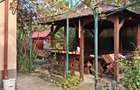 Prahova, Sat. Minier