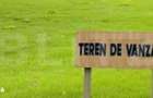 Teren intravilan, 3600mp, Moara Nica - 1