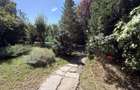 Aspen House, 5 camere, gradina matura, garaj caramida, Paradisul Verde - 3