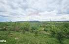 Teren 5,350mp Dobreni / Strada Manastirea Horaita - 19