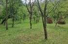 Teren intravilan de vanzare 5991.mp loc ?otrile - 2