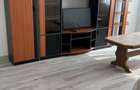 Apartament de inchiriat in Craiova cart.Rovine