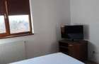 Inchiriere Apartament 2 camere Tineretului - 7