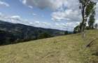 Teren de 5000 mp, în Năpăiești