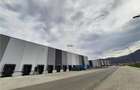 Spatiu Industrial - 3500 mp - Logistica - Productie - Depozitare - Distributie - 23