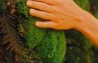 COMISION 0% SAD/Business la cheie SPA Dumbravita padure - 5