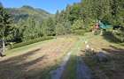 Teren intravilan la munte - 5