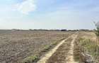 Teren de vanzare in Dragomire?ti-Vale, Ilfov 10.000 m ,