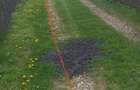 Teren INTRAVILAN 5400mp BAICOI aproape de DN1 str Movila vulpii - 6