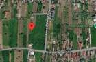 TEREN INTRAVILAN DE VANZARE | Carcea, jud. Dolj | 1000 MP