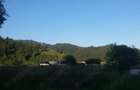 Vand casa,Corbu,Harghita la 14km de Borsec - 2