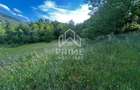 Teren de vanzare | 12 259mp | - 3