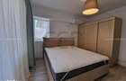 Unirii - Alba Iulia - Naturalia - Apartament 2 camere, mobilat utilat - 9