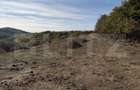 Teren extravilan in suprafata de 3 hectare