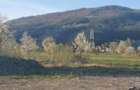 Teren intravilan de 13.476 mp Sat Stejaru Com. Pangarati Jud. Neamt - 2