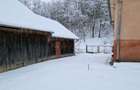 Vand casa cu anexe si teren 7,35 ha - 11