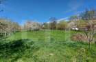 Casă autentică  3.100 mp teren, livadă si parau I Lisnau - 5
