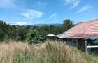 Teren intravilan ?i casa de vanzare, 3980 mp - 10