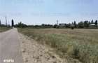 Teren intravilan 17.500mp Chitila - Oxigenului