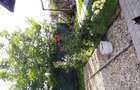 Vand casa Comuna Berceni Ilfov - 4