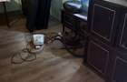 Vanzare Casa cu teren 1450 mp Ortelec - 8