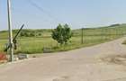 Teren extravilan 14000mp Horlaceni