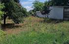 Casa de vanzare + doua terenuri agricole - 1