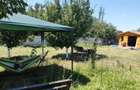 Teren intravilan 1200 mp+casuta de gradina si anexe Cascioarele, Ulmi - 3