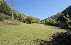Vand teren extravilan Tarcau Punct Radu, 4.492 mp | Teren drept + padure