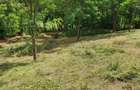 vind teren intravilan ,,URGENT'' - 5