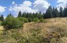 Teren 5.000 mp la Lacul Beli?-Fantanele - 8