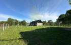 Casa de vanzare | Bucium - Runc (Buciumi) | 1500mp teren - 7