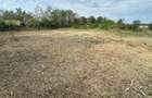 Teren intravilan 32ari Culciu Mare 64 m front aproape de strada principala - 7