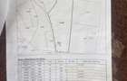 Teren intravilan 10.000 mp | Deschidere 40 m | Zona de pad - 4