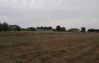 Vand teren Ciurbesti intre padure si case - 2