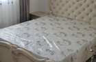 Vanzare casa duplex Moara Grecilor - 2