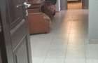 Apartament Chirie Iasi Pacurari - 7