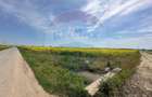 Teren 545,000mp Dragomiresti-Vale - 10