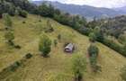 Teren de 30000 mp, în Șanț - 1