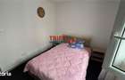 Apartament de inchiriat zona cetate - 5