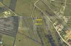 Teren intravilan, 6400 mp, zona Schit - 2
