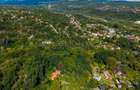 Teren 3.886 mp, Breaza - Podu Vadului, 30 m deschidere la asfalt