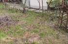 Casa bunicilor renovabila/demolabila CATARGIU Baraganului colt Voineasa - 4