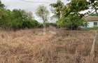 Teren intravilan 2562mp Loc 23 August | Ideal locuiță sau casă vacanță - 9