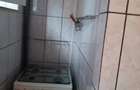 ofer spre inchiriere ap 2 camere semidecomandat zona Banat - 4