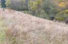 Teren intravilan, 4000 mp, zona Panaci - Vatra Dornei