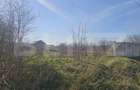 Teren intravilan, suprafata 7850 mp, zona Cornetu - 1