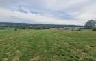Teren 6.400 mp de vanzare Mioveni, Racovita 2.517 mp intravilan - 7